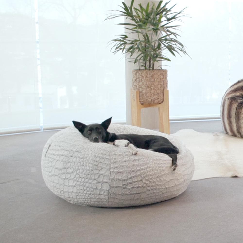 kelpie dog chilling on a fur bean bag in a living room
